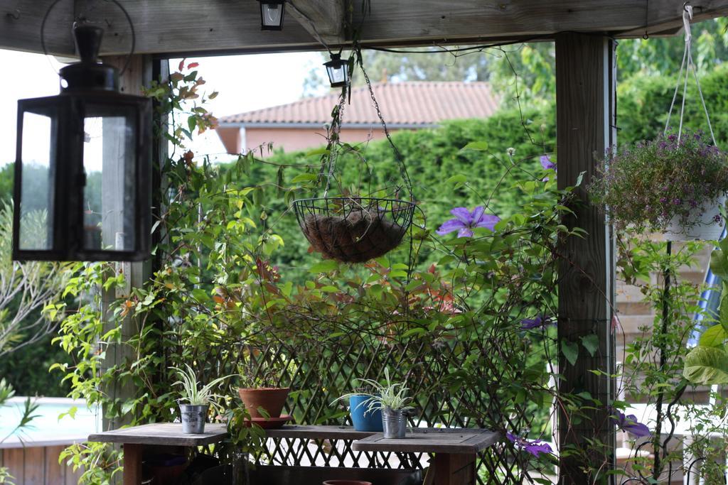 Calme Et Nature, Ba Hotell Gujan-Mestras Rom bilde