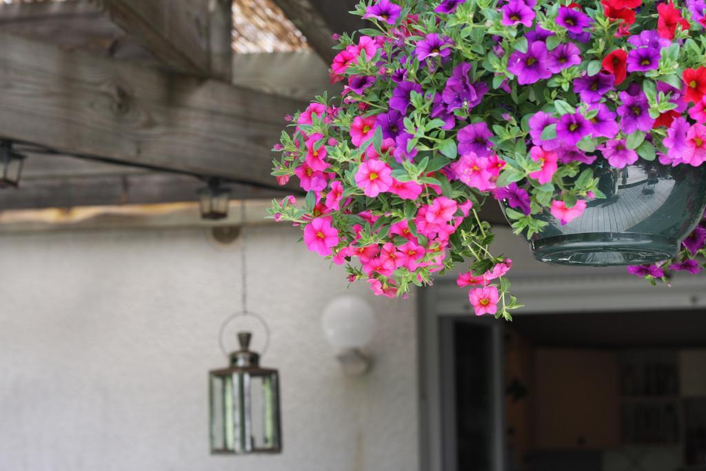 Calme Et Nature, Ba Hotell Gujan-Mestras Rom bilde