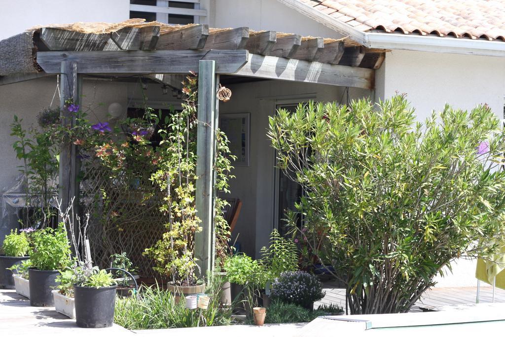 Calme Et Nature, Ba Hotell Gujan-Mestras Rom bilde